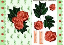Pretty Peach Roses