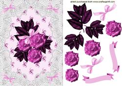Pink Roses & Lace