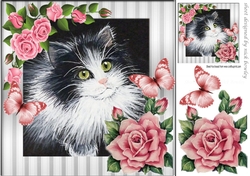 lovely painted black and white kitten with pink roses & butterflies 8x8