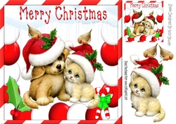 cute puppy with kitten in santa hats 8x8