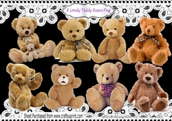 8 Lovely cuddly Brown Teddy bears in Png