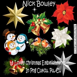 8 Lovely christmas embelishments png (set one)