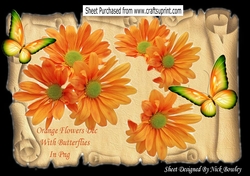 Lovely orange flower with green butterflies in png