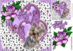 Cute valentine purple heart with roses and cute puppy 8x8