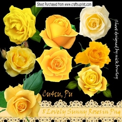  8 Lovely Sunny yellow roses in png