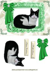 Purfect Picture! Pretty Green Eyes