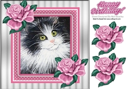 Lovely painted black and white kitten with pink frame and roses 8x8