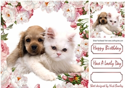 cute puppy and kitten with pink & white peonies 8x8