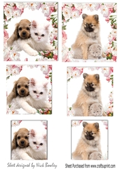 two cute little puppies and kittens small cards with pyramids