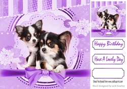 Cute pair of Chihuahua puppies with purple bow 8x8