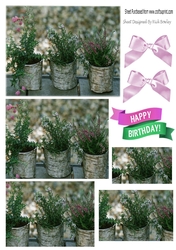 Wild Garden flowers in pots with bows pyramids