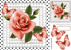 pretty peach roses on lace with butterflies and black polkadot 8x8
