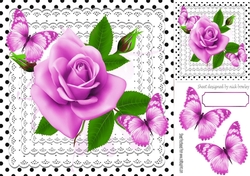 pretty pink roses on lace with butterflies and black polkadot 8x8