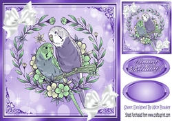 pretty budgies with white bows in ornate purple frame 8x8