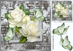 White roses with brick effect frame with butterflies 8x8