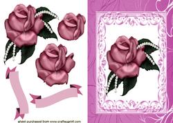 Pink Rose!