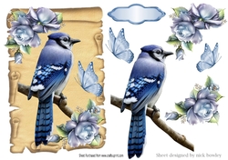pretty blue bird on a scroll with blue roses