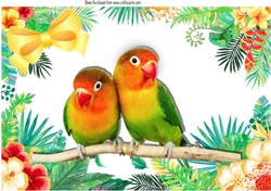 Pair of love birds on a branch in tropical flower frame A4