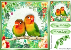 Pair of love birds on a branch in tropical flower frame 8x8