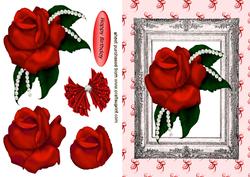 Red Rose