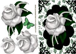 White Rose