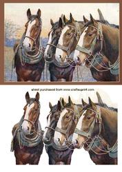 Horses