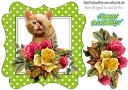 cute ginger kitten with roses/flowers and flowerpot