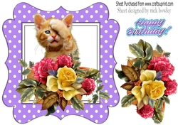 cute kitten with roses/flowers in purple polkadot frame