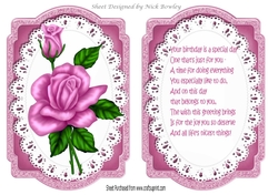 pink roses on lace card front and insert A5