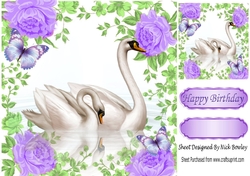 pretty swans with reflection in lilac rose frame 8x8