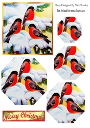 Lovely winter birds playing in the snow hexagon pyramids