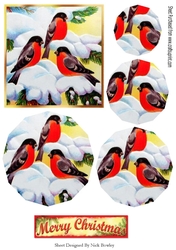Lovely winter birds playing in the snow shaped circle pyramids