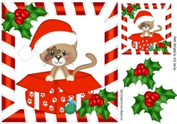 Cute little kitty in santa hat in xmas box with holly 8x8