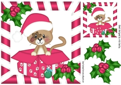 Cute little kitty in pink santa hat in xmas box with holly 8x8
