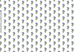 long stem purple single roses Backing paper