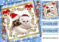 cute puppy and kitty in santa hats with bow in blue star frame with flowers 8x8