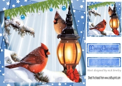 winter cardinal birds in the snow, in star frame 8x8