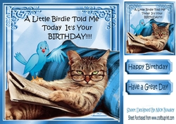Lazy kitty with blue bird 8x8