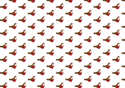 robin with red breast backing paper