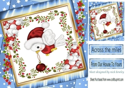 robin in red santa hat with bauble in stacked star frame with flowers 8x8