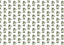 winter white flowers backing paper