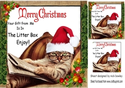 That lazy cat with attitude in santa hat 8x8