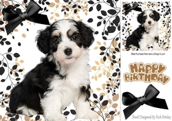 Cute black/white puppy with black bow in leaf frame 8x8