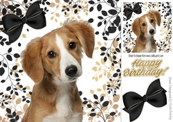 Brown eyed cute little puppy with leaf frame 8x8