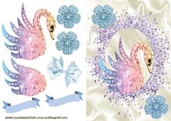 Rainbow Swan