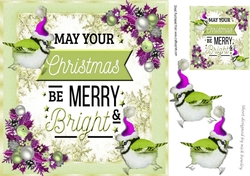 A lovely festive card front  with little  birds in purple santa hats and verse 8x8