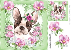 Lovely Painted French bulldog puppy with pink flowers 8x8