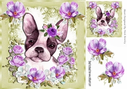 Lovely Painted French bulldog puppy with lilac flowers 8x8
