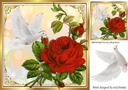 Beautiful big red rose, with white dove 8x8