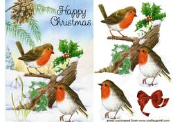 Christmas Robins